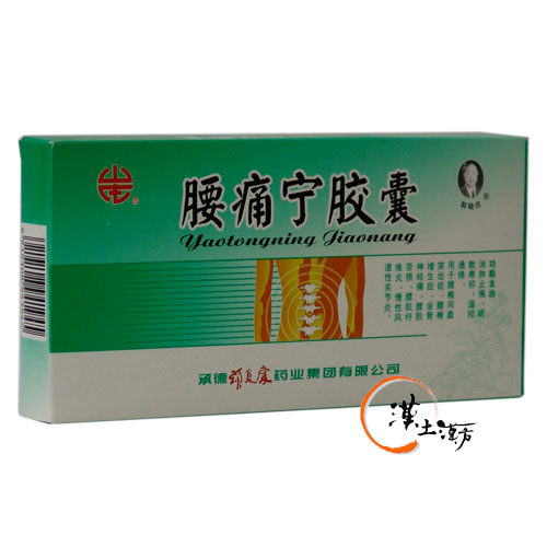 筋肉痛/関節痛 腰痛寧カプセル - 漢土漢方